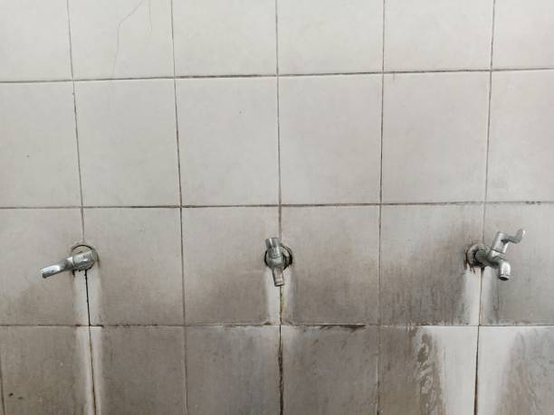 Best Emergency water damage restoration  in Fairfield Harbour, NC