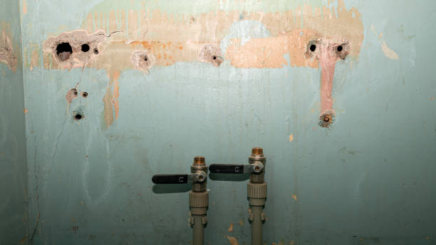 Best Water damage restoration mold remediation  in Fairfield Harbour, NC