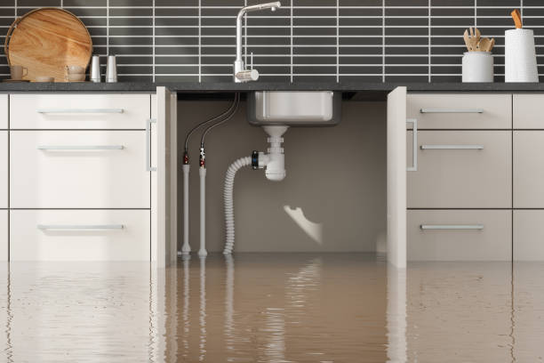 Best Local water damage restoration  in Fairfield Harbour, NC