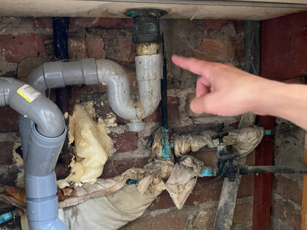 Best Carpet water damage restoration  in Fairfield Harbour, NC