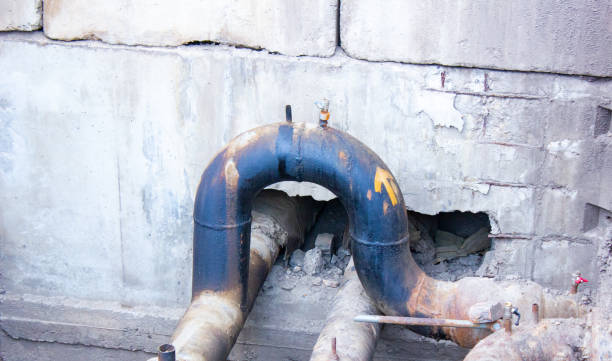 Best Professional water damage repair  in Fairfield Harbour, NC